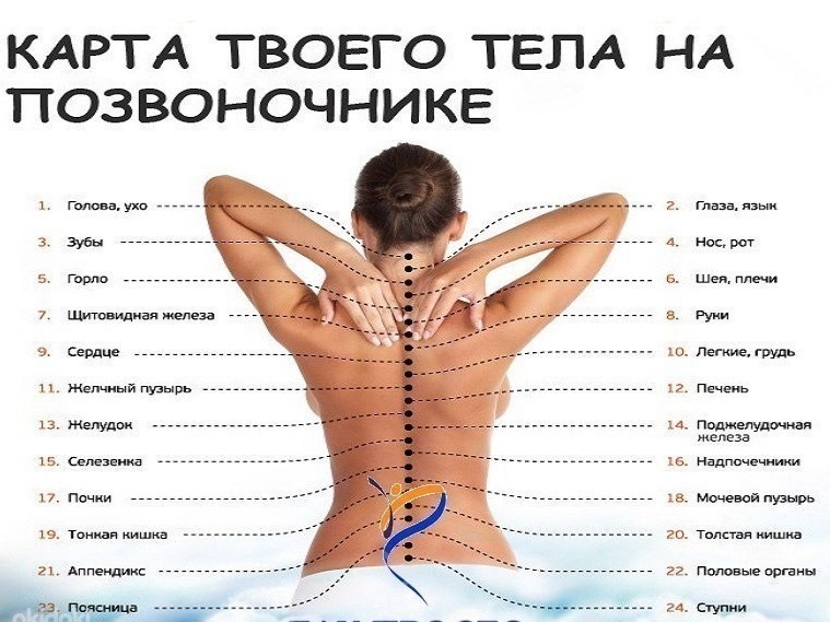 массажа, Exclusive massage, Массаж в Tallinne, Relax massaaz, Erotic massaz, Массажный салон в Tallinne, Массаж для снятия, апряжения, Классический массаж, Эротический массаж, Массаж для спины и шеи, Антицеллюлитный массаж, Коррекция фигуры, Массаж , оздоровительный, лечебный, точечный, Шиатсу, Массаж для расслабления, Лечебный массаж, Массаж для улучшения кровообращения, Массаж для восстановления после тренировок, ассаж для снятия стресса, Массаж Улучшает потенцию ,расслабляет и , онизирует